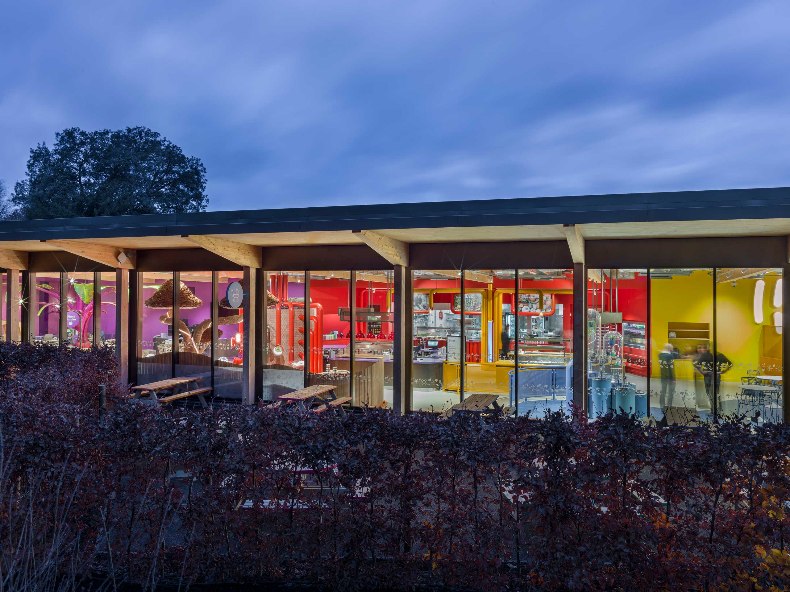 mulroy studio project